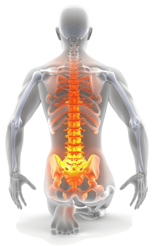Human spine depicted with highlighted pain in the lower back. png