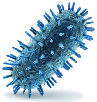High-resolution image of a vibrant, blue, rod-shaped bacterium. png