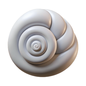 spectacular rustic Spiral shell with a single stripe. Clean lines, minimal design, with Scalable Design. detailed png