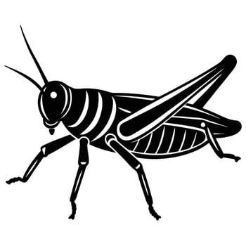 Black Grasshopper Illustration On White Background Detailed Image vector