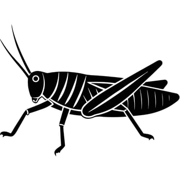 Black Silhouette Of A Grasshopper Insect Illustration vector