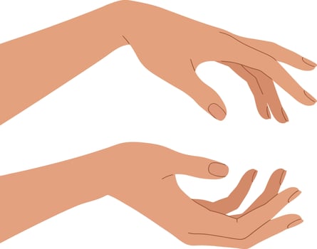 Pair of realistic human hands with natural skin tone in elegant curved gesture flat minimal illustration vector