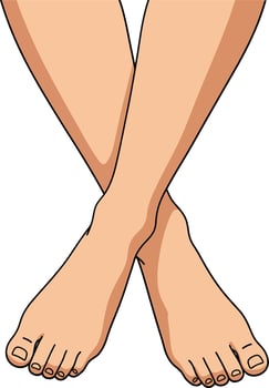 Crossed bare human feet with toes visible detailed flat design style illustration vector