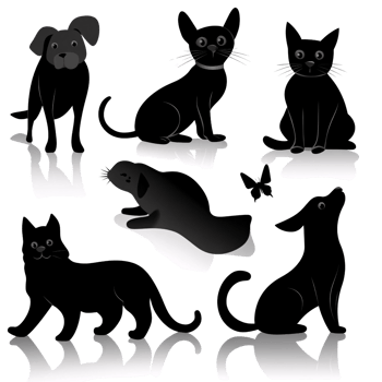 Cartoon illustration of black cats, dog, and seal on a transparent background Concept of pets, animals, and cute art png