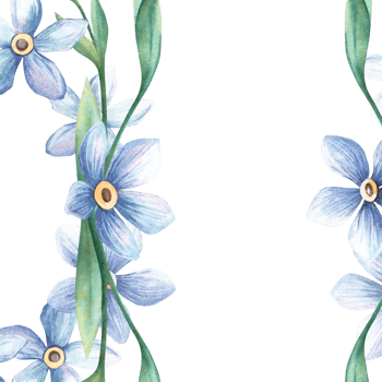 Forget-me-not template frame. Spring watercolor illustration of blue flowers myosotis twigs. Perfect for romantic, botanical, vintage design projects, seasonal greeting card, retro postcard png