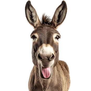 A smiling donkey with its mouth open and tongue sticking out png