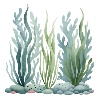 Watercolor painting of underwater sea plants and stones png