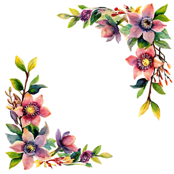 Watercolor painting of a beautiful floral frame with vibrant flowers and leaves on a transparent background png