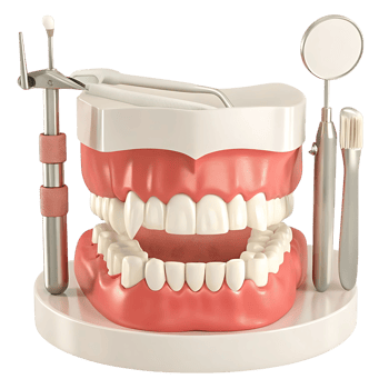 Dental Model with Instruments for Teeth Examination and Cleaning png