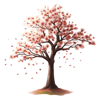 A Beautiful Pink Cherry Blossom Tree in Full Bloom with Falling Petals png