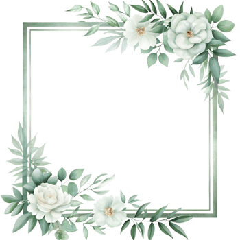 Elegant Watercolor Floral Frame with White Roses and Green Leaves Botanical Illustration png