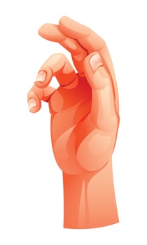 Hand in relaxed pose, fingers slightly bent inward. Cartoon illustration vector