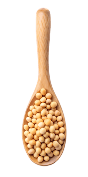 wooden spoon with lentils png