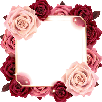 Elegant Rose Border with White Space for Text or Lovely Pink and Red Roses Floral Frame Design Romantic Wedding Invitation Template png