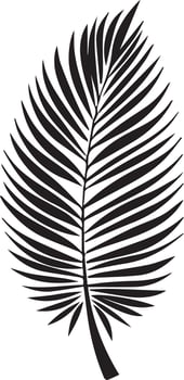 A coconut leaf vector