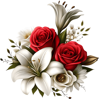 Stunning Bouquet of Red Roses and White Lilies with Delicate White Flowers and Greenery png