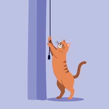 Orange tabby cat standing on hind legs pulling curtain cord in minimal flat design illustration vector