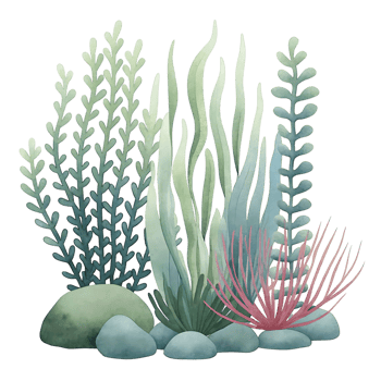 Watercolor painting of an underwater scene with various types of seaweed and stones png
