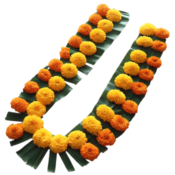 Stunning UShaped Garland of Orange and Yellow Marigolds Arranged on Green Leaves png
