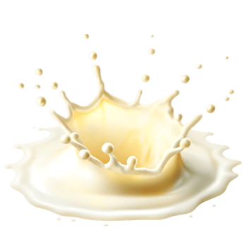Creamy Milk Splash on transparent Background Delicious Dairy Product Fresh Beverage png