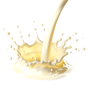 Creamy Milk Splashing and Pouring into a Bowl on a transparent Background png