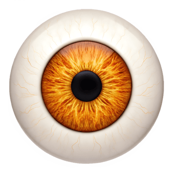 Close up of a human eye with amber iris. png