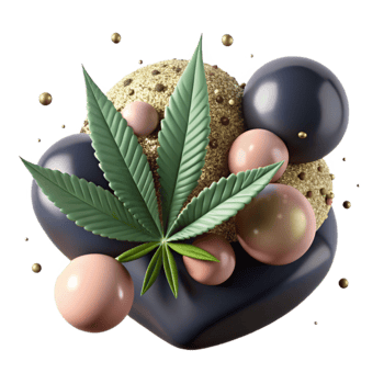 impressive artistic Hemp Seed Close Up Macro View Isolated high quality png