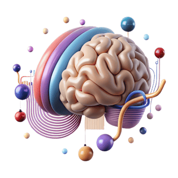 vibrant modern Human Brain with Data Flow Overlay Transparent Background high quality png