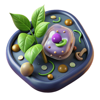 impressive minimalist Microscopic of Plant Cell Transparent Element authentic png