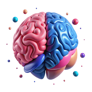 extraordinary contemporary Brain Divided Into Two Halves Pink and Blue Transparent Background professional png