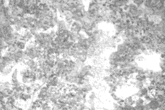 Abstract grunge halftone black dost texture vector