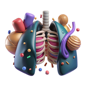 magnificent vintage X Ray Chest Lungs Front View Cutout original png