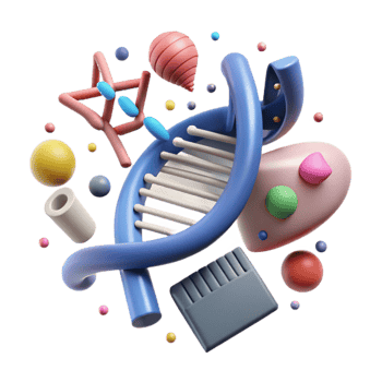 stunning modern Genetic Mutation Types Diagram Cutout original png
