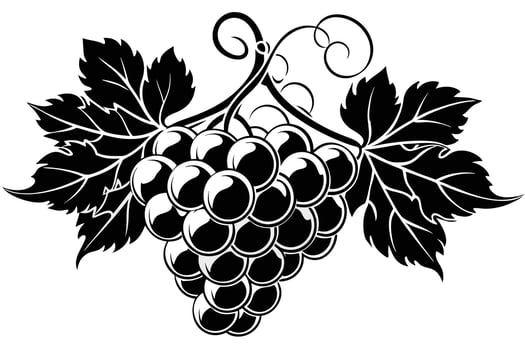 Elegant Black and White Grapevine Illustration vector