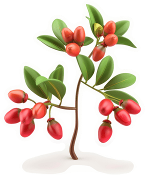 A vibrant illustration of a branch with red berries and green leaves. png