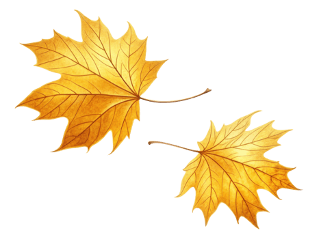 Two vibrant golden autumn leaves with intricate veins, symbolizing beauty of fall png