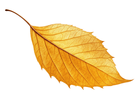 vibrant yellow leaf showcasing intricate veins and smooth texture, symbolizing beauty of autumn png