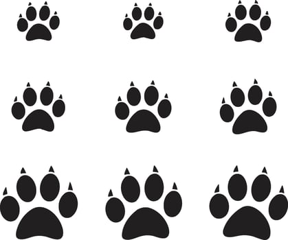 Clean Pet Paw Icons for Vet and Pet Shop Branding vector