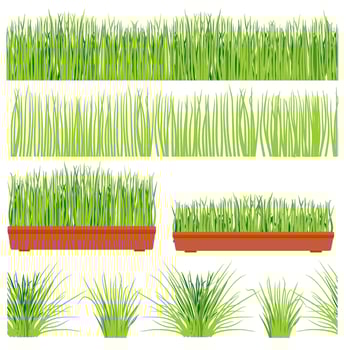 Green grass lawn, border or meadow set. Herb collection. Young green grass in pot and outdoor vector