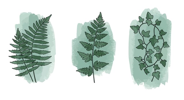 Three detailed green fern and ivy leaves with watercolor background in minimal flat style illustration vector
