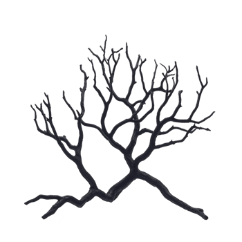 A silhouette of bare tree branch with intricate, twisting limbs against plain background, evoking sense of stark beauty and simplicity png