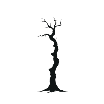 A silhouette of barren tree stands against stark transparency background, its twisted branches reaching out in various directions, creating dramatic and eerie atmosphere png