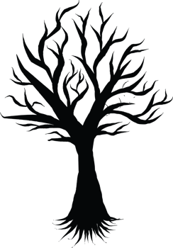 Silhouette of a Bare Winter Tree with Branches and Roots png