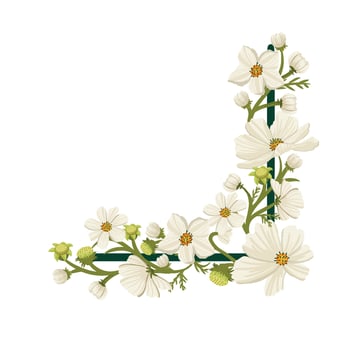 Flower Cosmos arrangement color simple wedding white wild bloom corner vector