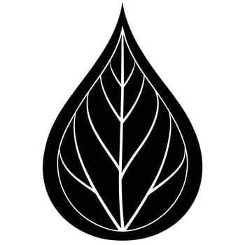 Elegant Black And White Leaf Droplet Shape vector