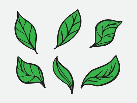 Green leaf set plant illustration vector