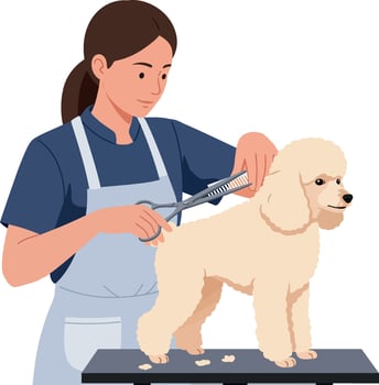 Female pet groomer trimming white poodle dog fur with scissors flat style illustration vector