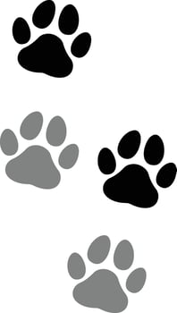 Paw footprint icon set. on white background. cat or Dog, path design animal tracks, design in modern style vector
