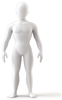 Full-body representation of a generic human figure. png