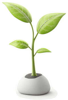 Fresh, vibrant seedling in a decorative, round pot. png